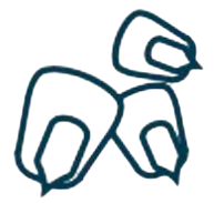 logo-bayer